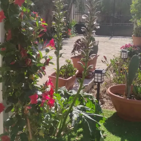 Il Giardino Di Zio Pino * Taranto