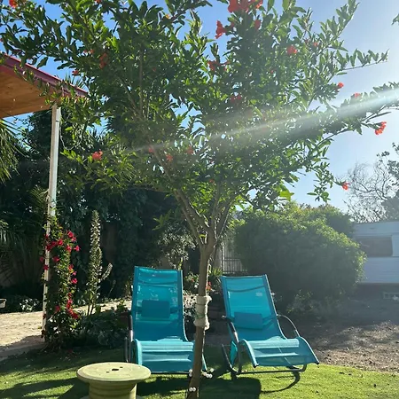 Il Giardino Di Zio Pino Taranto
